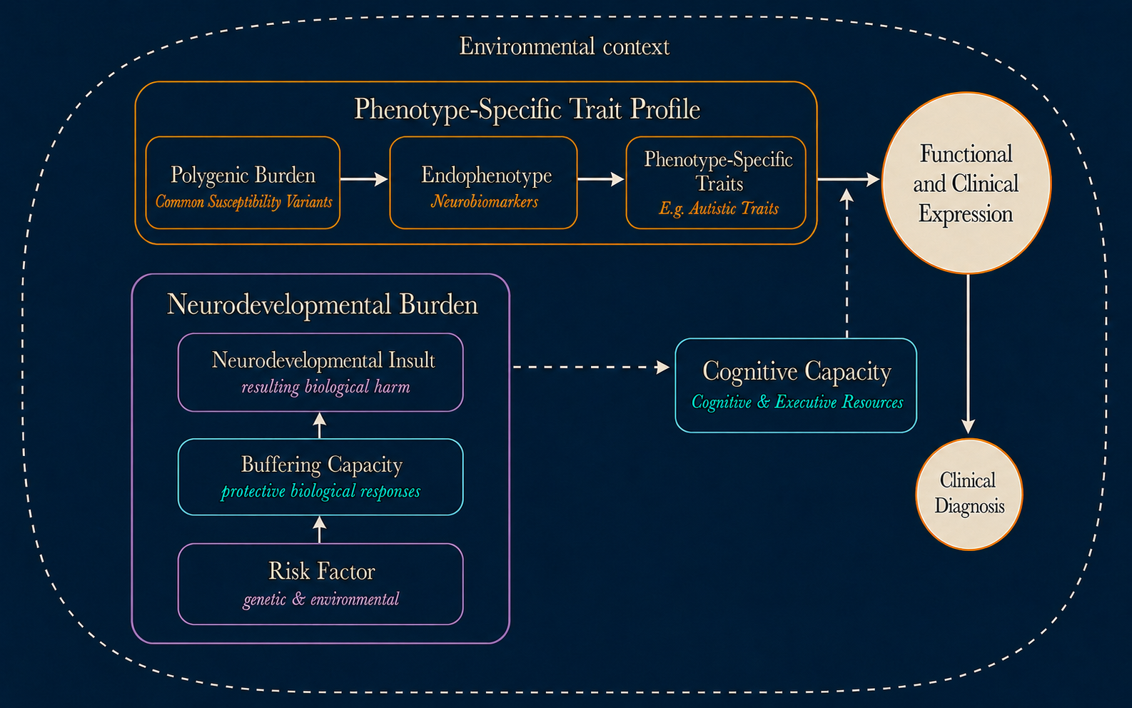 Full Pathogenetic Triad model. Common susceptibility variants contribute through a phenotype-specific neuroendophenotype to phenotype-specific traits. Risk factors are buffered before becoming neurodevelopmental insults and cumulative Neurodevelopmental Burden. Burden constrains Cognitive Capacity. Trait profile and Cognitive Capacity contribute to Functional and Clinical Expression, which may lead to Clinical Diagnosis, within environmental context.